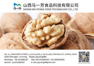 SHANXI MA YIFANG FOOD TECHNOLOGY